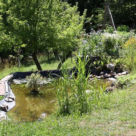 Ferienhaus "Am Schleifenbach" Saalfeld Saale Bagian luar foto