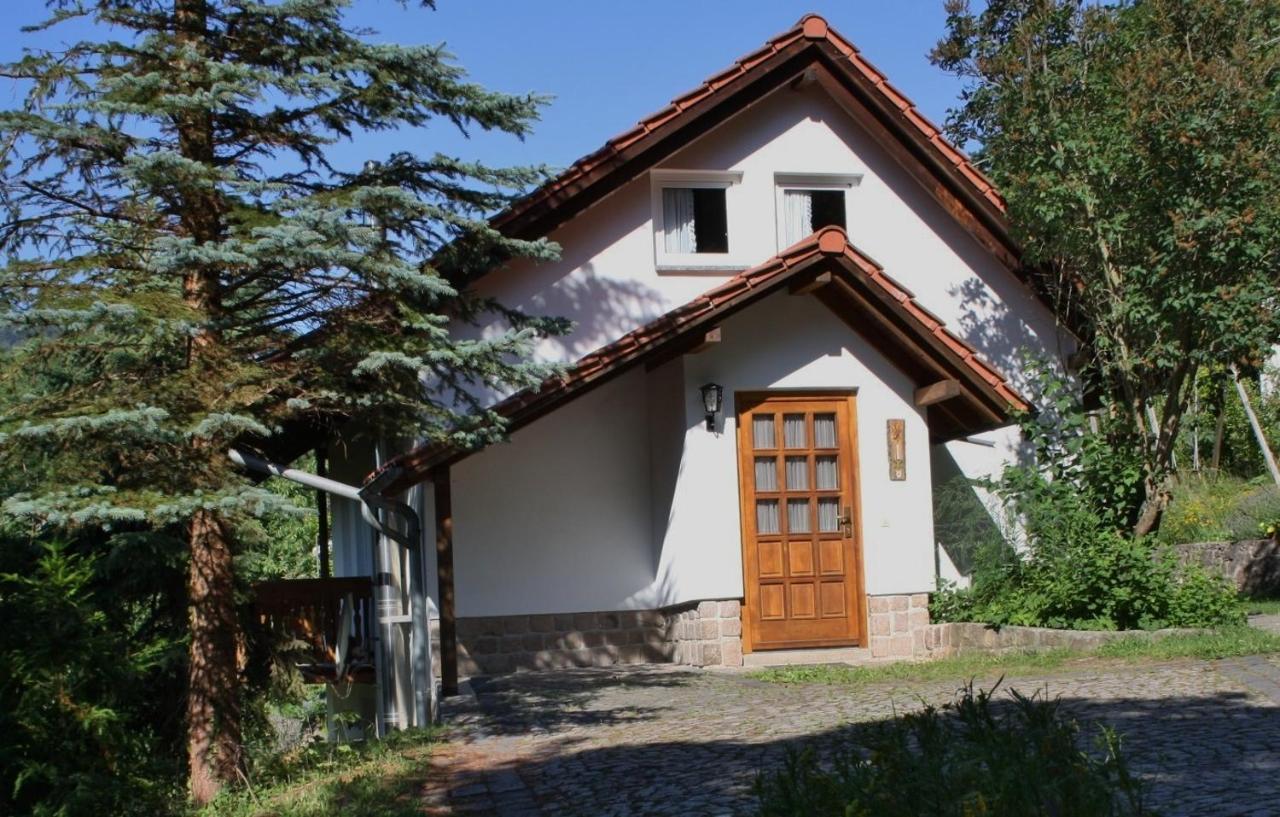 Ferienhaus "Am Schleifenbach" Saalfeld Saale Bagian luar foto