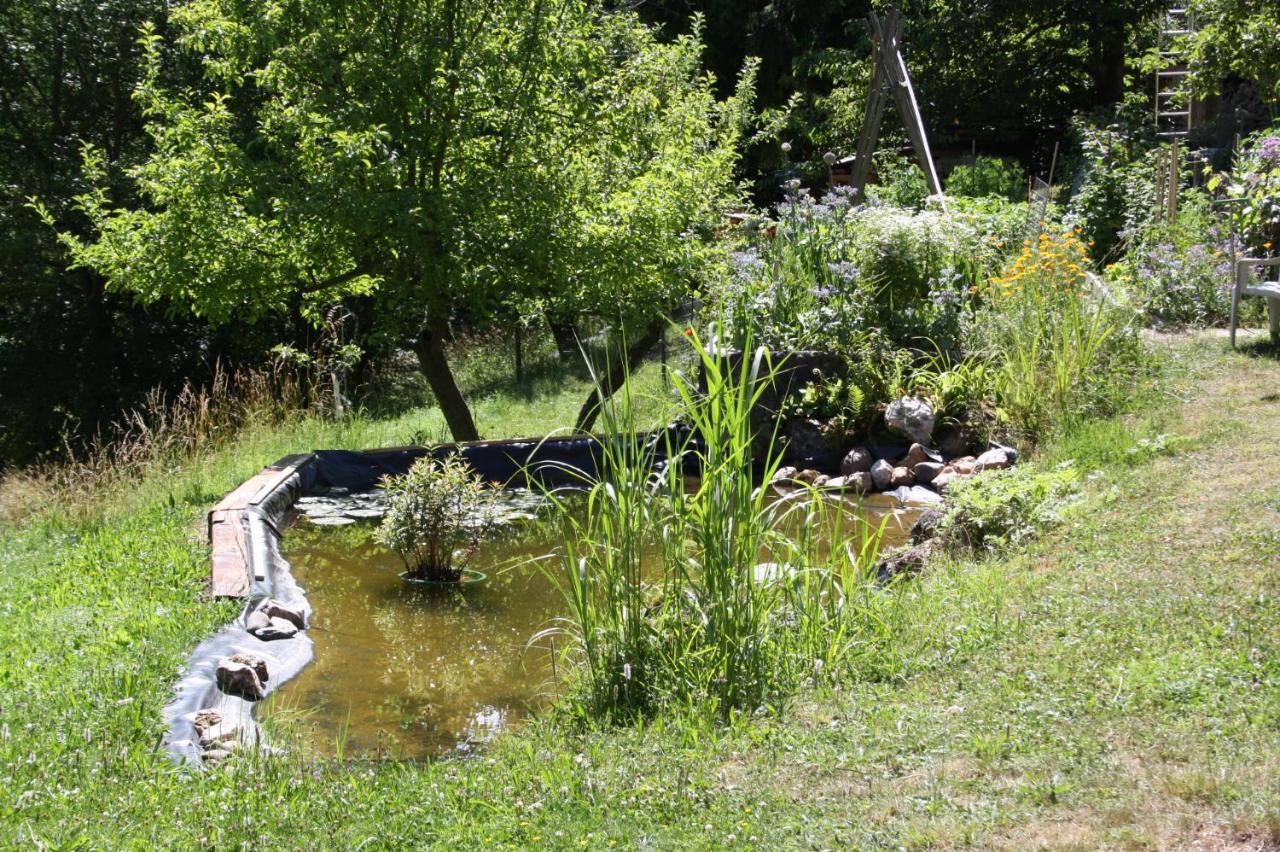 Ferienhaus "Am Schleifenbach" Saalfeld Saale Bagian luar foto